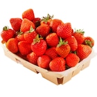 Fraise Ronde à Carrefour Market dans Wavrin Fraise Ronde à Carrefour Market dans Wavrin
