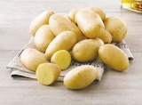 Pomme de terre de consommation - Super U Pomme de terre de consommation à 2,59 € dans le catalogue Super U