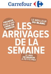 Promo Moustiquaire dans le catalogue Carrefour du moment à la page 1