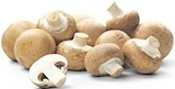 REWE Bonn - Braune Champignons Angebot im Prospekt Braune Champignons bei REWE im Bonn Prospekt für 1,49 €