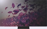 TÉLÉVISEUR MINI-LED 4K - TCL - Extra à Nice TÉLÉVISEUR MINI-LED 4K - TCL en promo chez Extra Nice à 499,90 €