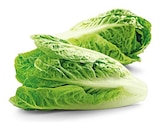 Bio Romana Salatherzen von REWE Bio für 1,79 € bei REWE im Angebot Bio Romana Salatherzen von REWE Bio im aktuellen REWE Prospekt