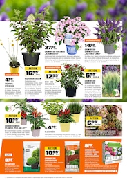Gartendeko Angebot & Preis im aktuellen OBI Prospekt Gartendeko Angebot im aktuellen OBI Prospekt auf Seite 5