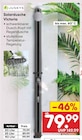 Solardusche Victoria für 79,99 € bei Netto Marken-Discount im Angebot Solardusche Victoria im aktuellen Netto Marken-Discount Prospekt