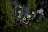 Tuteur "Papillon" phosphorescent en promo chez Jardiland Tuteur "Papillon" phosphorescent dans le catalogue Jardiland