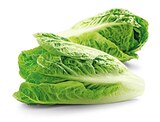 Bio Romana Salatherzen von REWE Bio für 1,79 € bei REWE im Angebot Bio Romana Salatherzen von REWE Bio im aktuellen REWE Prospekt